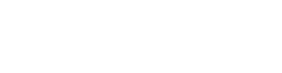 BOSDOLAR logo